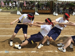 56AA588B-BFEF-4328-B15F-EF28B67DD405.jpeg